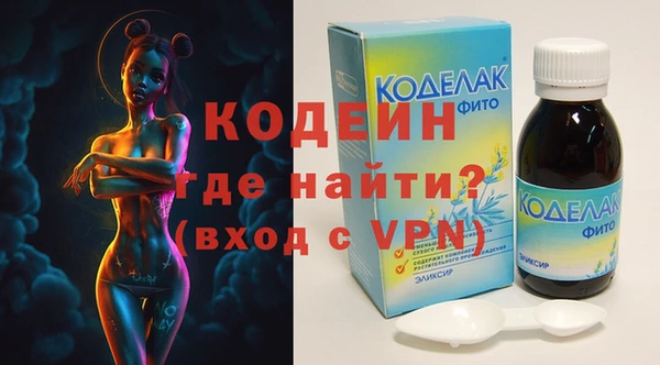 прущие грибы Инта