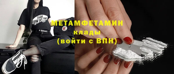прущие грибы Инта