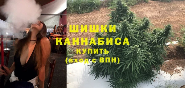 тгк Иннополис