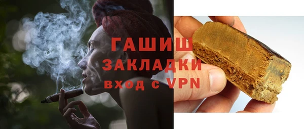 прущие грибы Инта