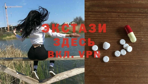 прущие грибы Инта