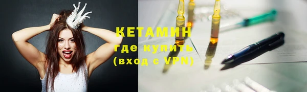 прущие грибы Инта