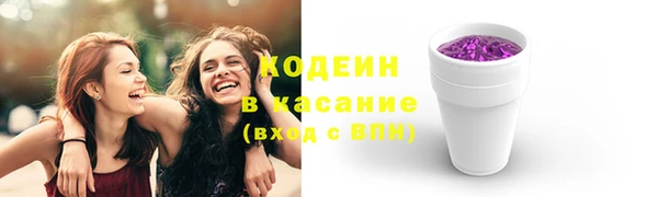 прущие грибы Инта
