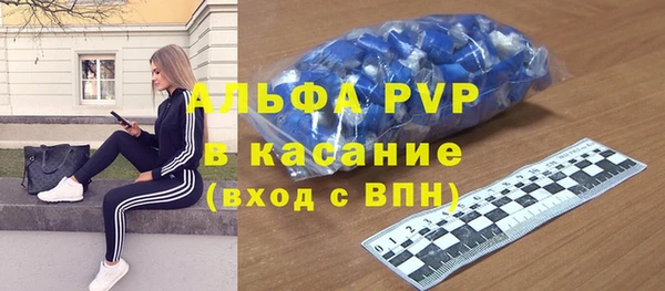 прущие грибы Инта
