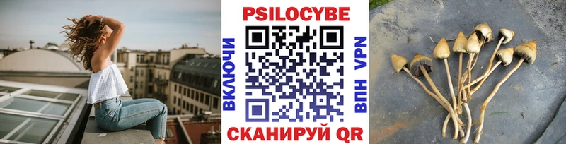 Галлюциногенные грибы Psilocybe Купить Бабаево